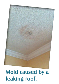 Mold caused by a leaking roof.