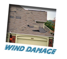 Wind Damage